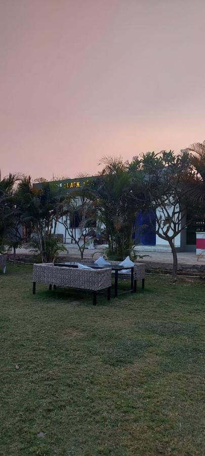 The Black Leaf Hotel Rāipur Exterior foto